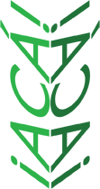 Logo: Gallery Ac&aacute;